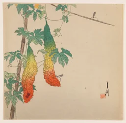 Gourdes et guêpe, vers 1890-1910